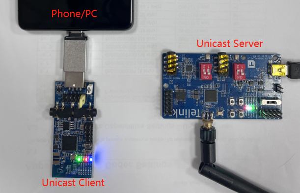 Unicast scenario 3 environment setup