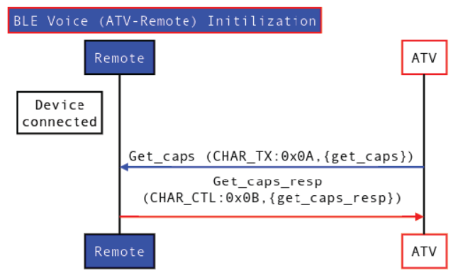 "Google Voice initialization flow"