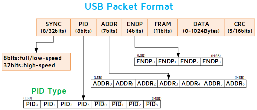 Common format of USB packet